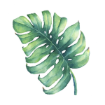 Arvore