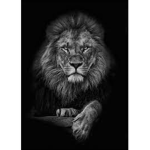Lion / Café