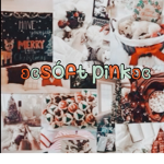 ʚɞ sóftpink ʚɞ