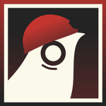 Birds at Work
