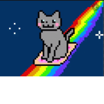 Rainbow meow kitty cat