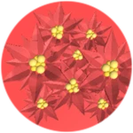 Poinsettia Party!
