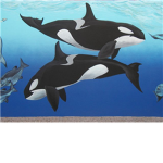 Orca
