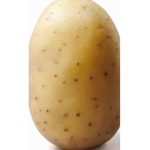 The True Potatoes (TTP)