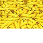 bananisarna