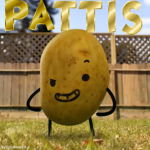 Pattis
