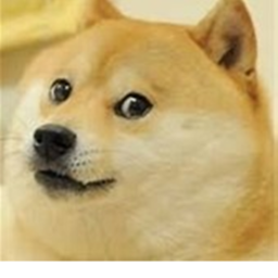 Escape The Doge!