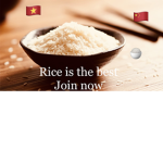 Rice Is The Best