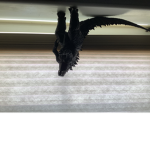 The Godzilla freinds