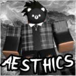 Aesthics clothes