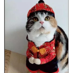 嘎啡貓工作室