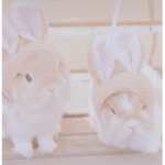 ‘soft bunnies’