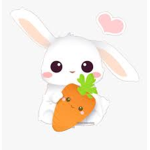 •Bunny's Clothing•