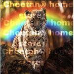 Cheetah home store