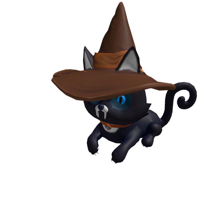 The Halloween cat