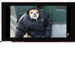 Roadman only g
