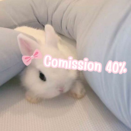 bobux 40%