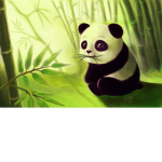 Panda12345678910