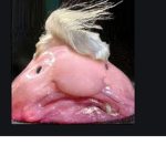 Markus er sej hej
