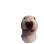 wabser