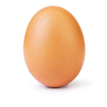 The Egg Bros Corporation