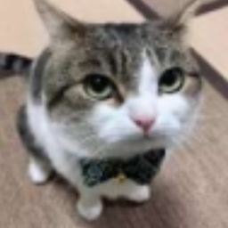 Donations
