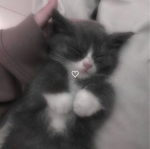 wuvbbgg