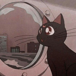 ⋆ ˚｡⋆୨୧˚