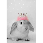 princessbunny fan group