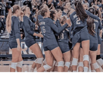 ~Volleyballers~