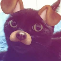 ˃ᗜ˂