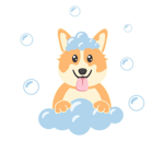 Wet pups
