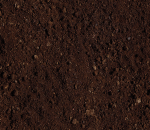 TheGreatDirtMans Garden