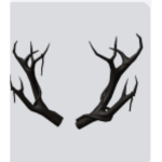 Antlers fam
