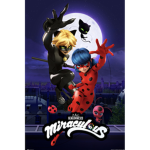 Ladybug_12