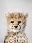 LITTLE CHEETAH GROUP