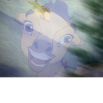 Jumping horses