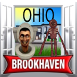 Brookhaven 🏡 RP Chaos Ohio Skibi Toilet