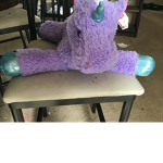 Lavender Aesthetics’s