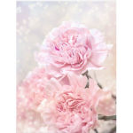 Flowers._.Emily