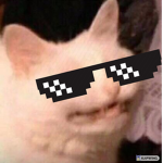 gamer of doge dreamer