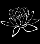Order Of The White Lotus: Official War Fraction
