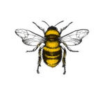 ~Bee Army~