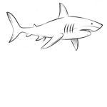 Sharks = amazing