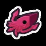 Coral Community