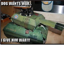 CAT ARMY SIMULATOR