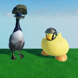 Ducks VS Geese