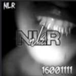 NLR OFFICIAL'S