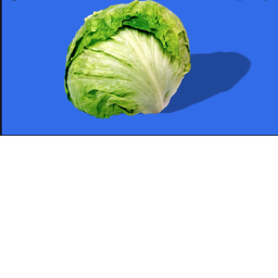 LETTUCE PIT