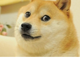 DOGE OBBY (woof)